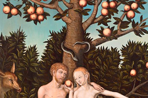 The Creation Story & Creationism