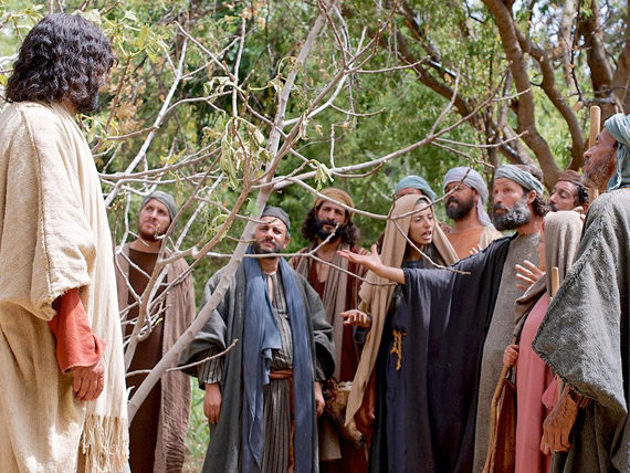 Jesus got angry at a fig tree