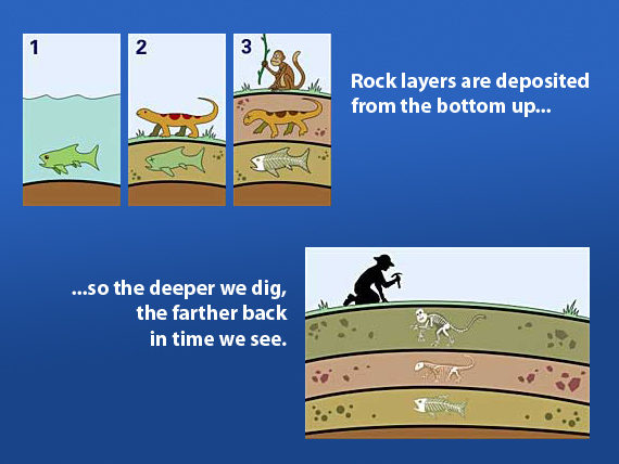 evolution rock layers