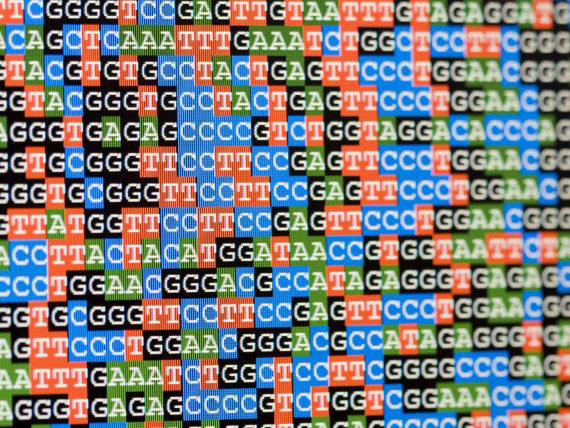 mapping of the genome