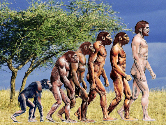 walking upright
